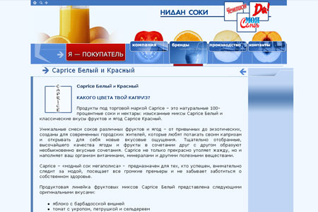 Сайт компании nidan
